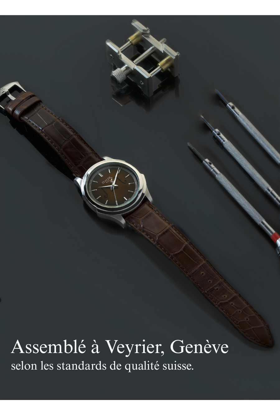 Assemblé à Veyrier, Genève